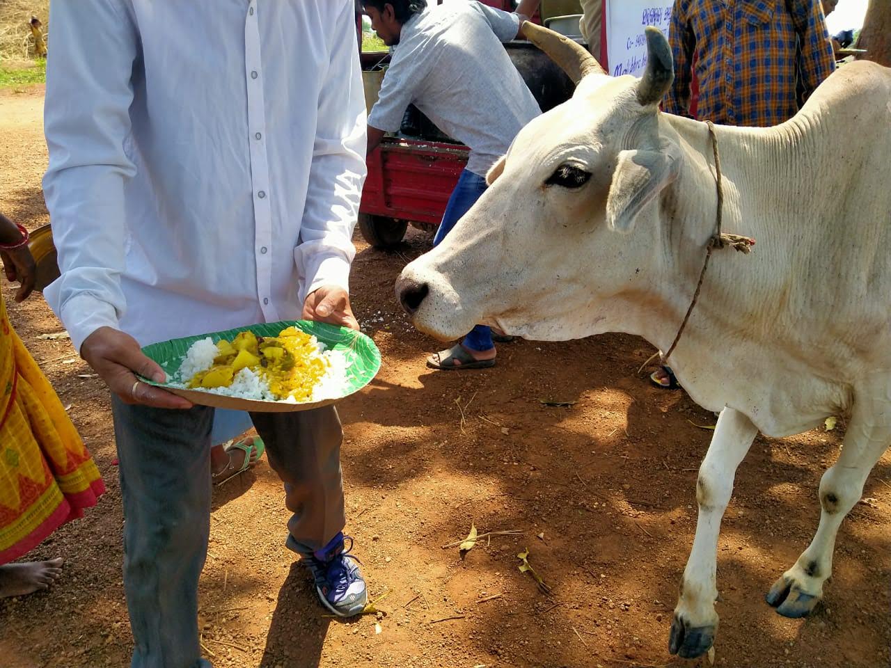 POGRAM BHRC(ACTIVITIES)