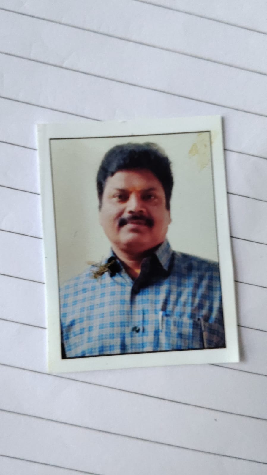 GOLLAPALLI HARI BABU